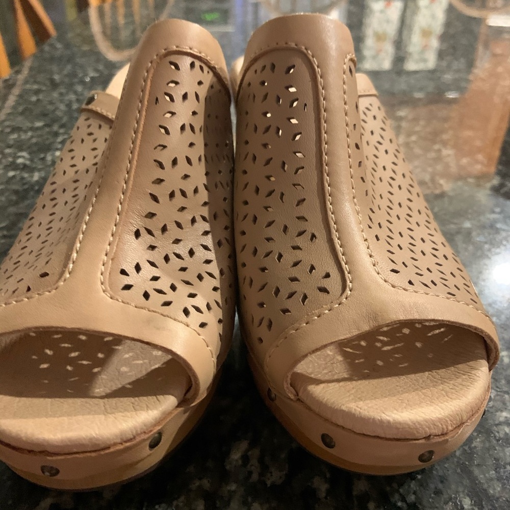 Ugg Clogs